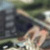 Créer l'effet tilt-shift pour miniaturiser vos photos